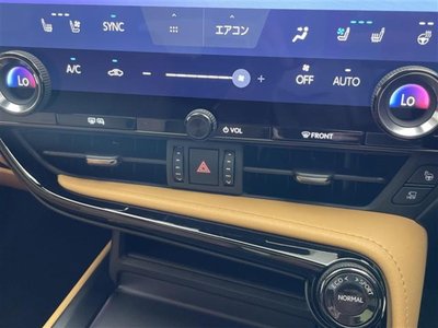 صورة 21 لـ 2025 Lexus NX