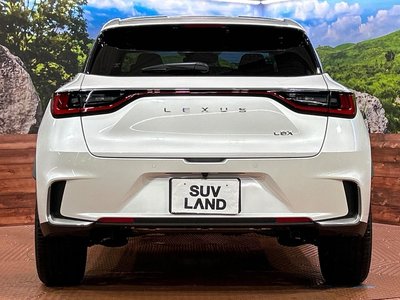 2026 Lexus LBX photo 15