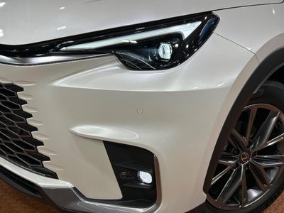 2026 Lexus LBX photo 12