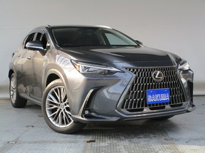 2023 Lexus NX 照片 4