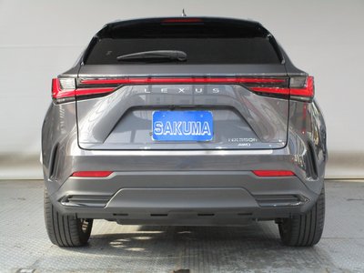 2023 Lexus NX 照片 7