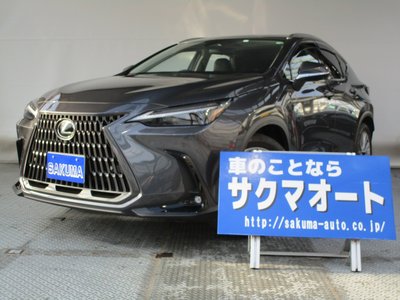 2023 Lexus NX 照片 1