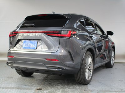 2023 Lexus NX 照片 6