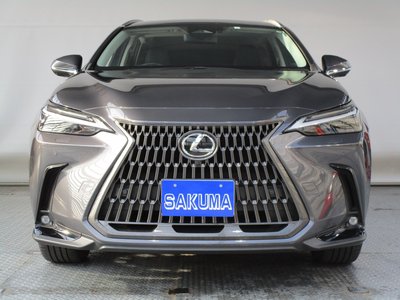 2023 Lexus NX 照片 3