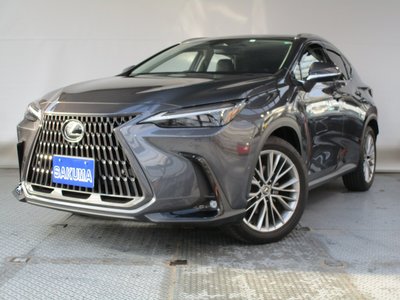 2023 Lexus NX 照片 2