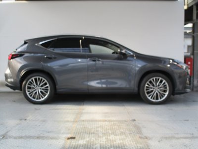 2023 Lexus NX 照片 5
