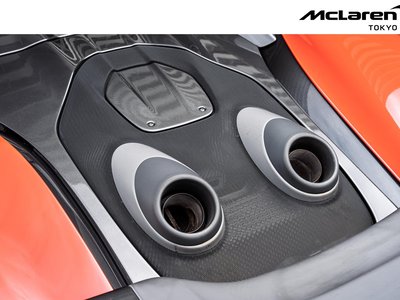2019 Mclaren 600LT SPIDER 照片 28