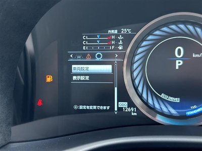 2017 Lexus GS F 照片 14