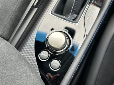 2017 Lexus GS F 照片 16