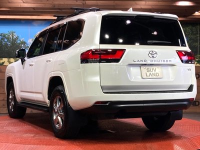 2024 Toyota LAND CRUISER 300 thumbnail 30