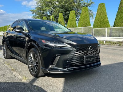 2023 Lexus RX photo 12