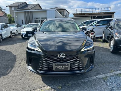 2023 Lexus RX photo 15