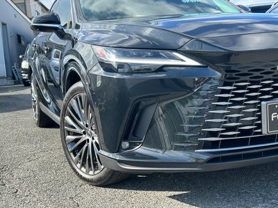 2023 Lexus RX thumbnail 33