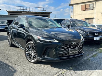 2023 Lexus RX thumbnail 32