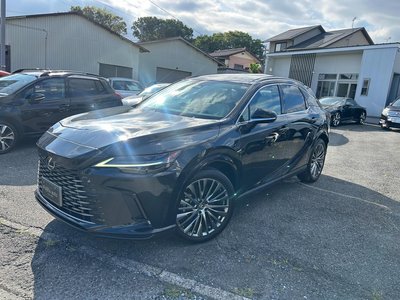2023 Lexus RX thumbnail 30