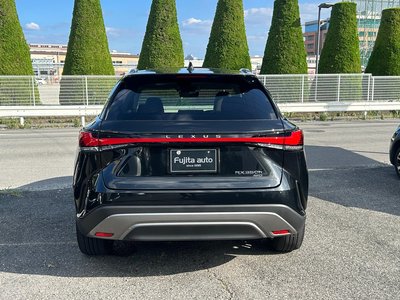 2023 Lexus RX photo 16