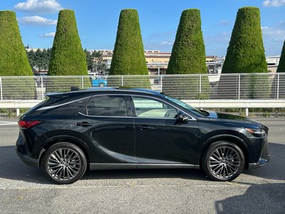 2023 Lexus RX photo 13