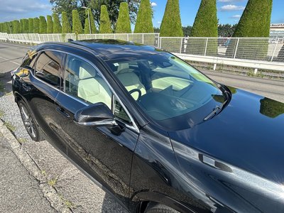 2023 Lexus RX thumbnail 45