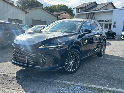 2023 Lexus RX thumbnail 29