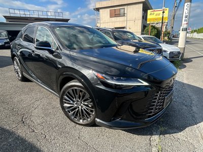 2023 Lexus RX thumbnail 34