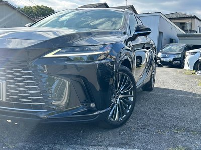 2023 Lexus RX thumbnail 31