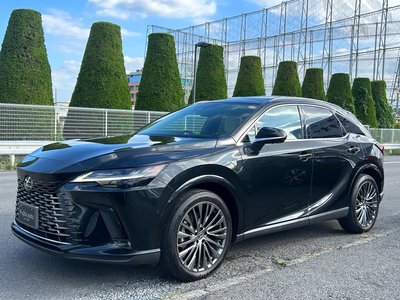 2023 Lexus RX photo 1