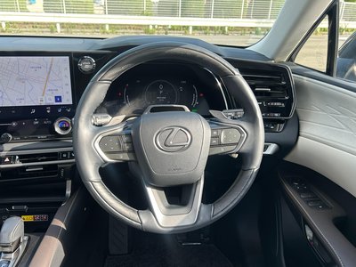 2023 Lexus RX photo 7