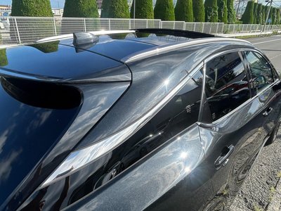 2023 Lexus RX thumbnail 48
