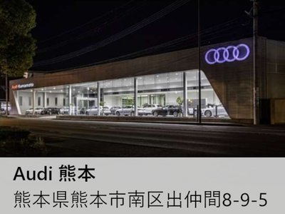 صورة 46 لـ 2025 AUDI S3 SPORTBACK