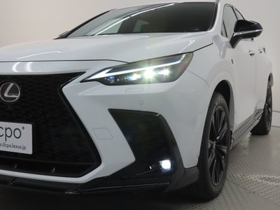 2023 Lexus NX 缩略图 6