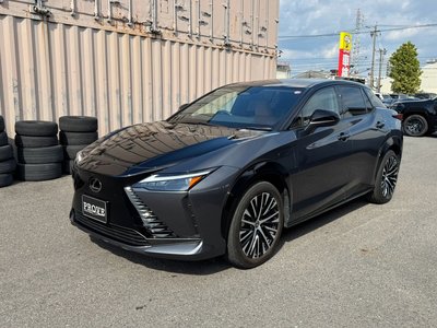 صورة 11 لـ 2023 Lexus RZ