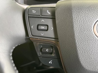 2026 Toyota ALPHARD 照片 39
