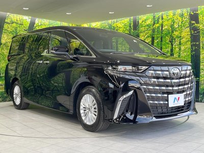 2026 Toyota ALPHARD 照片 17