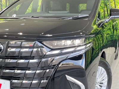 2026 Toyota ALPHARD 照片 13