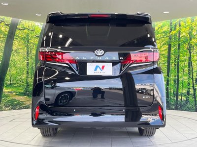 2026 Toyota ALPHARD 照片 16