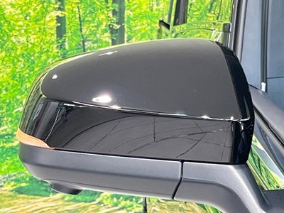 2026 Toyota ALPHARD 照片 49