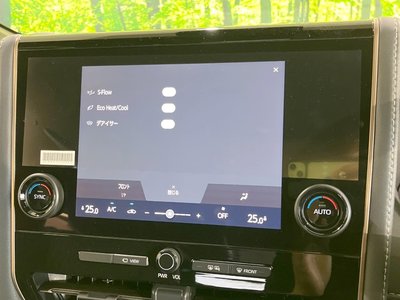2026 Toyota ALPHARD 照片 56