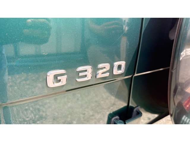 1998 Mercedes-BENZ G-CLASS 缩略图 44