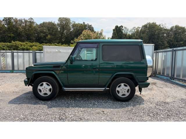 1998 Mercedes-BENZ G-CLASS 缩略图 20
