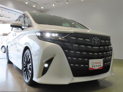 2025 Toyota ALPHARD — фото 29
