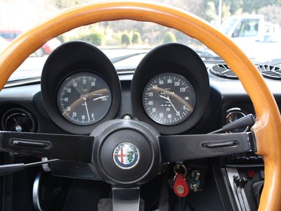 1989 ALFA Romeo ALFA SPIDER 照片 8