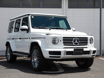 2021 Mercedes-BENZ G-CLASS 照片 6