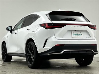 2021 Lexus NX thumbnail 19