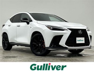 2021 Lexus NX photo 1