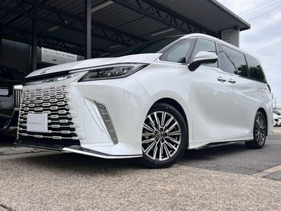 2025 Lexus LM photo 1