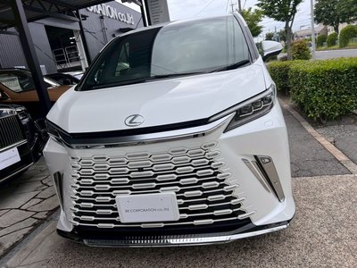 2025 Lexus LM photo 14
