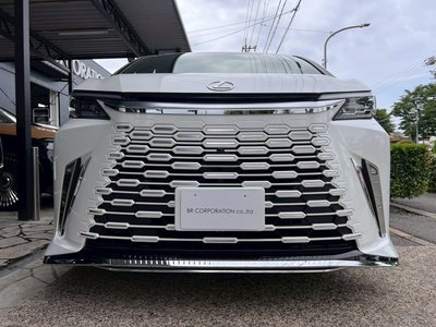 2025 Lexus LM photo 12