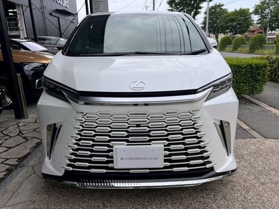 2025 Lexus LM photo 13