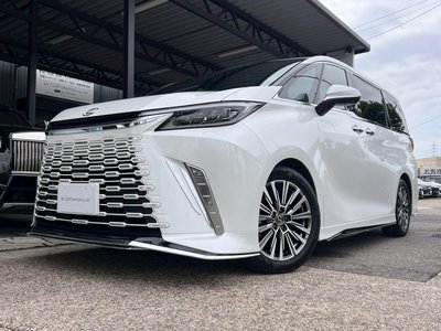 2025 Lexus LM photo 6