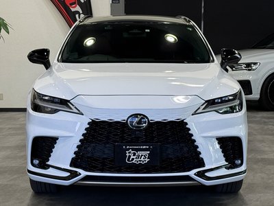 2023 Lexus RX photo 8